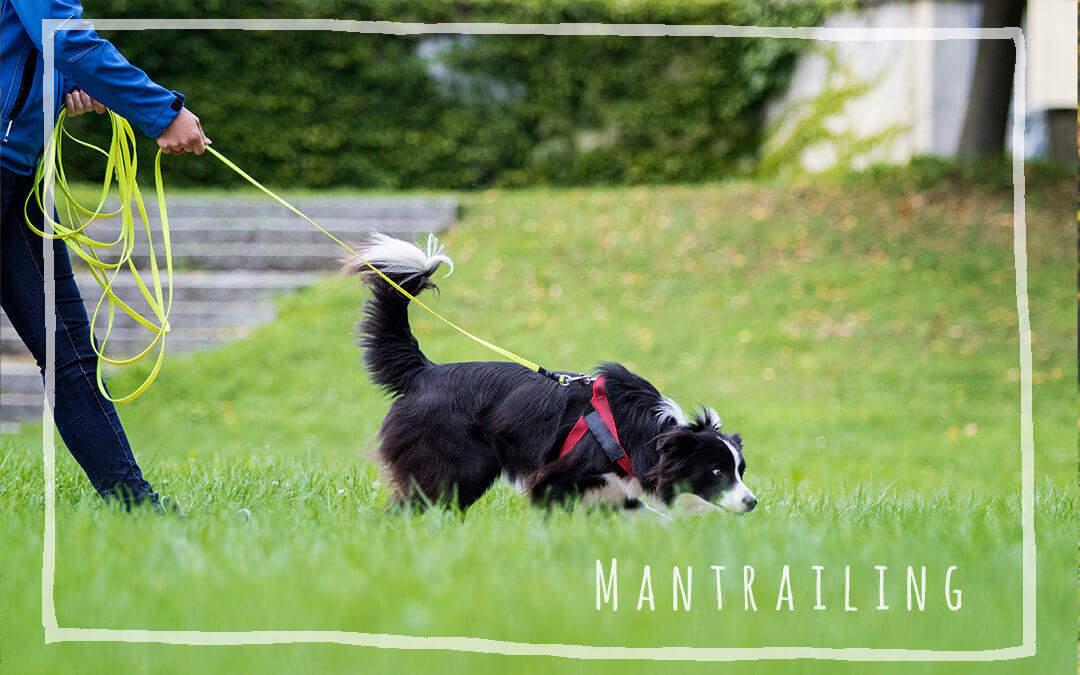 Mantrailing