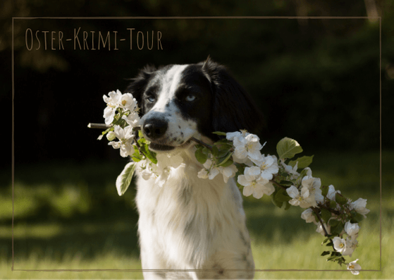 Oster-Krimi-Tour
