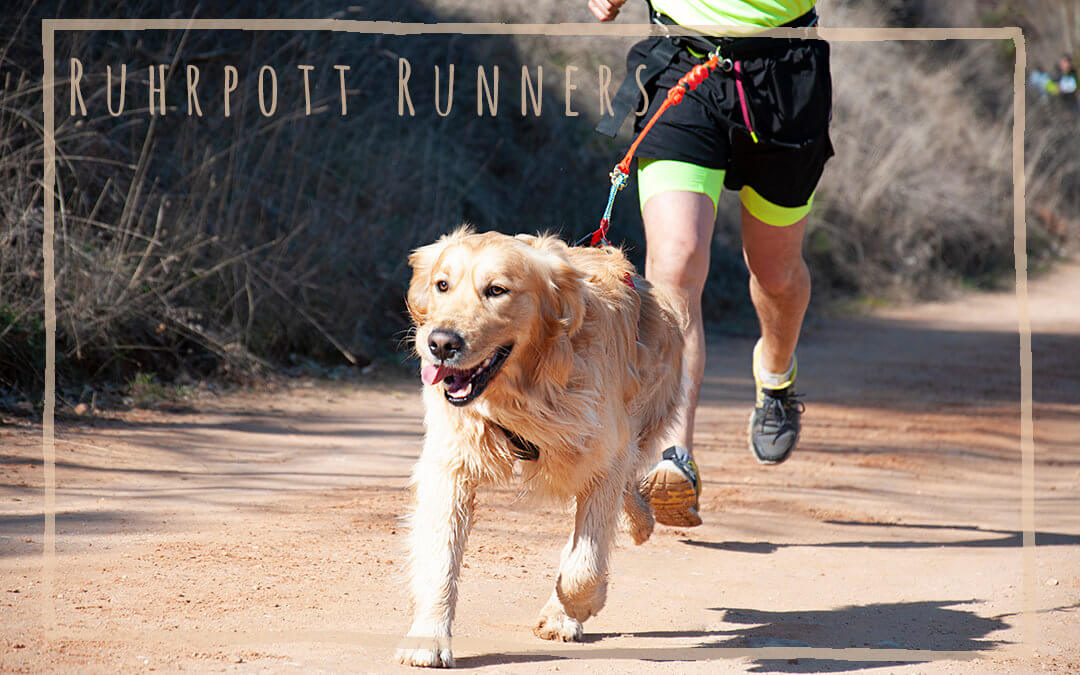 Ruhrpott Runners – Laufen mit Hund